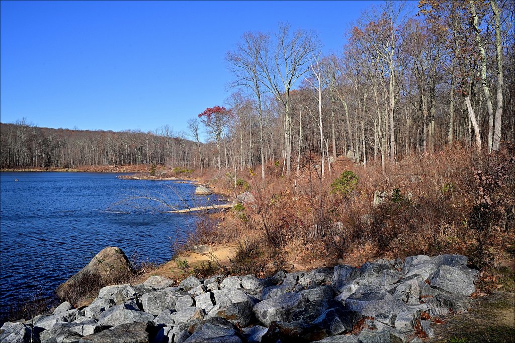 Mahlon Dickerson Reservation