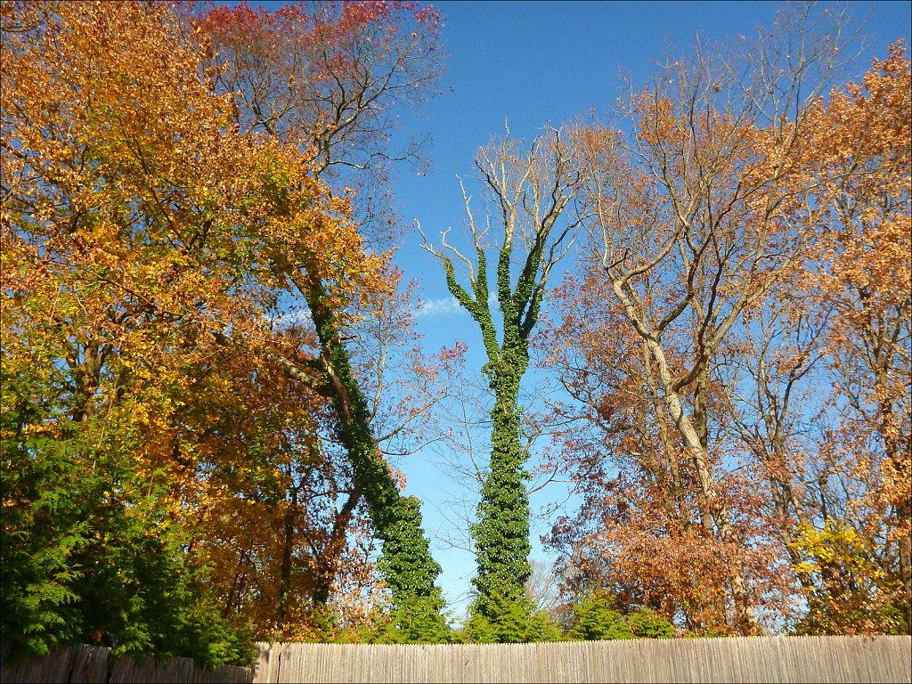 2024262F-P1000833.jpg