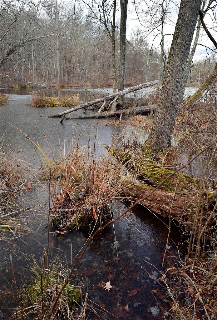 Along The Sussex Branch Trail
