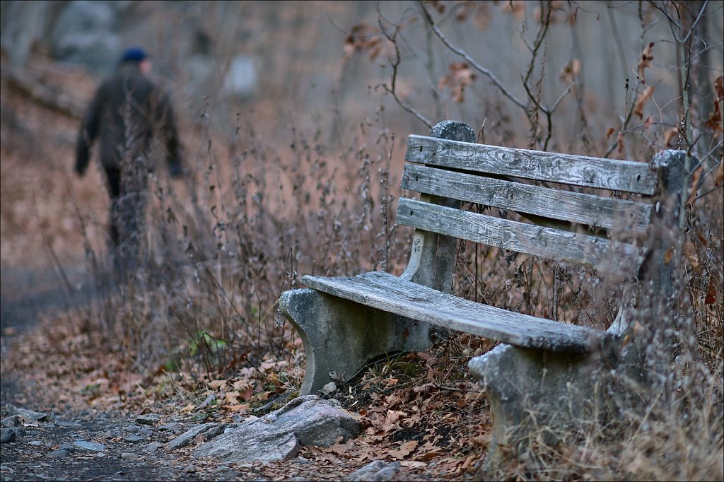 Along The Sussex Branch Trail