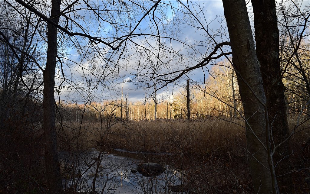 Along The Sussex Branch Trail