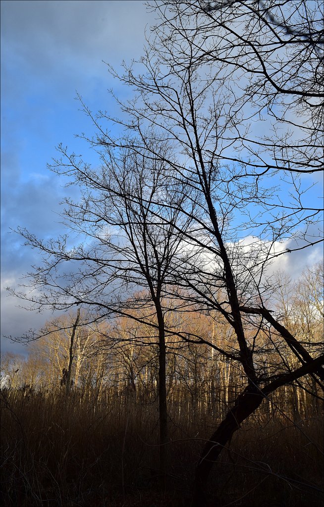Along The Sussex Branch Trail