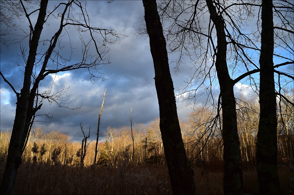 Byram Twp. NJ