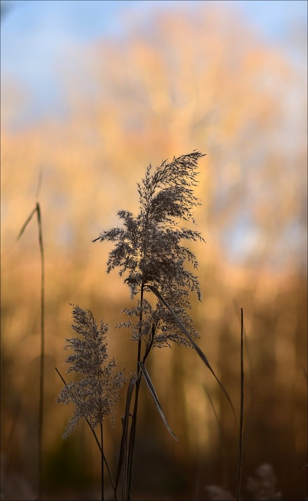 Along The Sussex Branch Trail