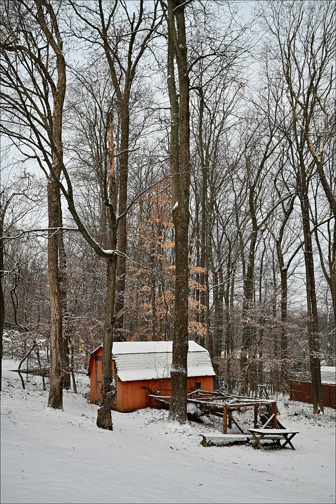 Backyard Barn