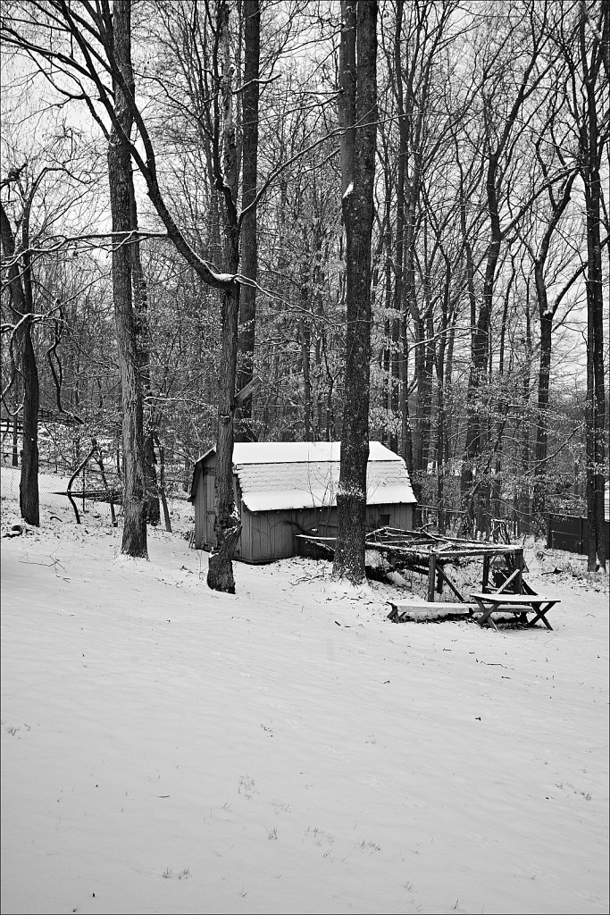 Backyard Barn