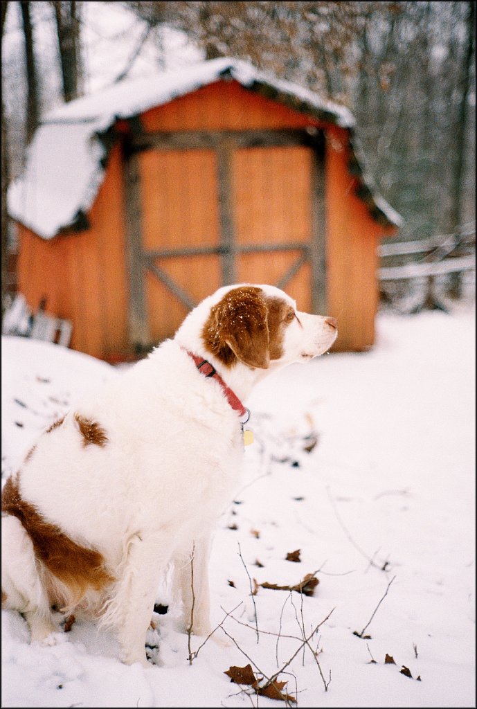 Leica IIIF test