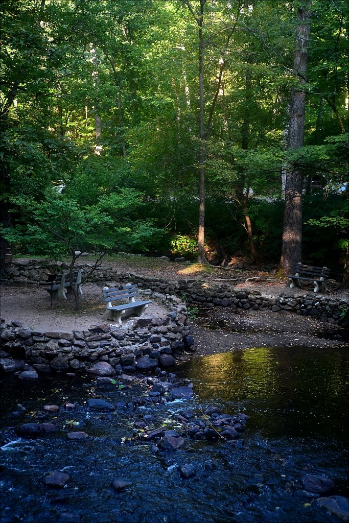 Stephen State Park