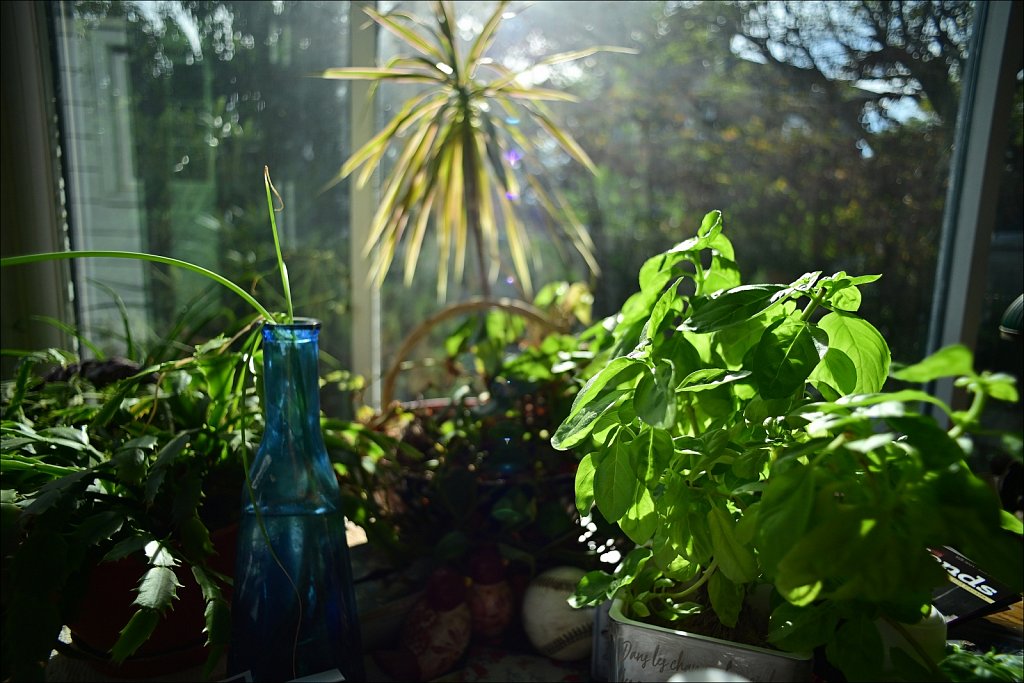 A Visit with Mom and Dad