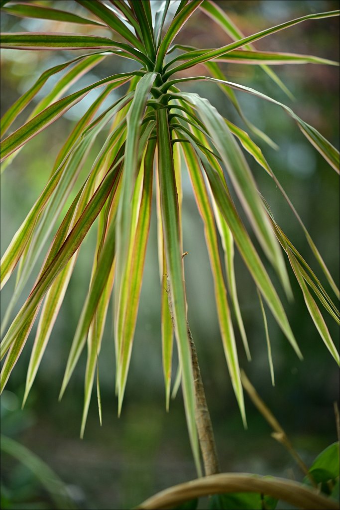 A Visit with Mom and Dad