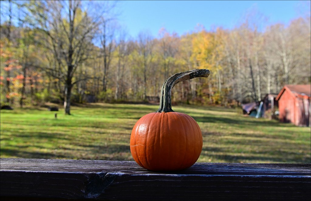 Fall 2025 Upstate NY